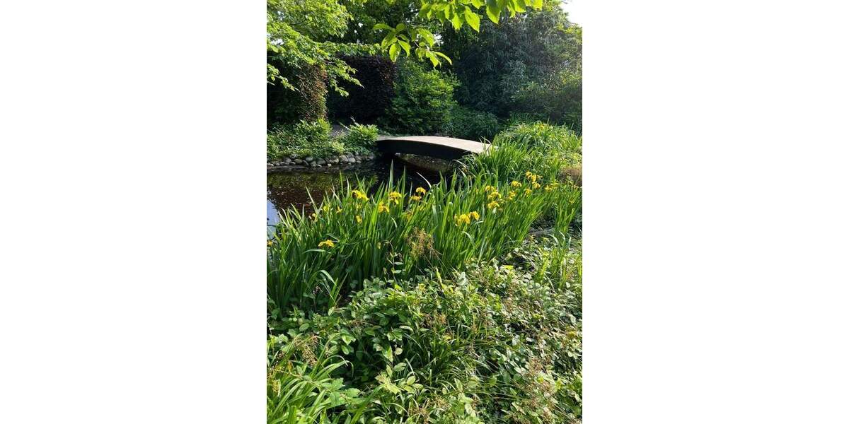 Mehrfamilienhaus, Wohnhaus Heinsberg Dremmen - 5 Zimmer, 170 m&sup2;, 997.000&euro; | Angebot:25743270