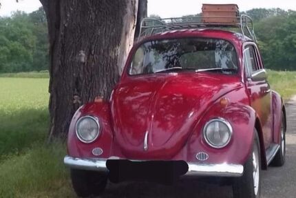 VW Käfer 60.000 km 14.500 &euro; Hückelhoven 41836