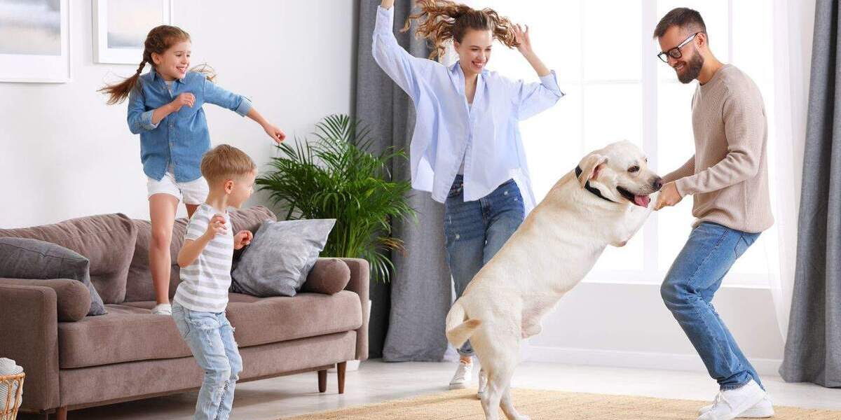 Mehrfamilienhaus, Wohnhaus Straelen Zand - 5 Zimmer, 150 m&sup2;, 499.808&euro; | Angebot:25692539