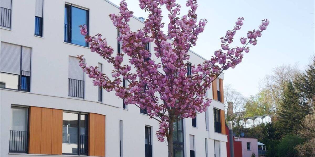 Etagenwohnung Mönchengladbach Stadtmitte - 4 Zimmer, 113 m&sup2;, 1.499&euro; | Angebot:26545278