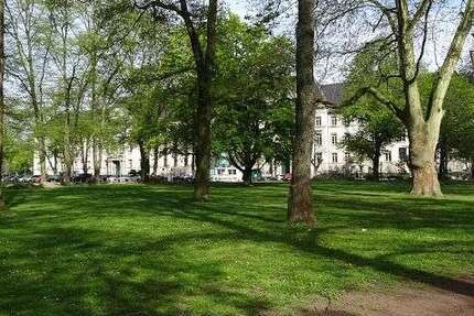 Wohnung Krefeld - 1 Zimmer, 34 m&sup2;, 595&euro; | Angebot:24418655