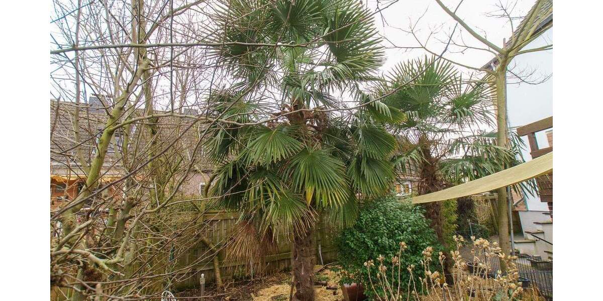 Mehrfamilienhaus, Wohnhaus Tönisvorst St. Tönis - 7 Zimmer, 224 m&sup2;, 399.000&euro; | Angebot:25691140