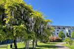 Etagenwohnung Mönchengladbach Eicken - 3 Zimmer, 77 m&sup2;, 920&euro; | Angebot:26804501