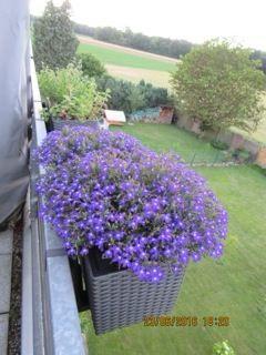 Dachgeschoßwohnung Mönchengladbach West - 4 Zimmer, 84 m&sup2;, 250.000&euro; | Angebot:24454653