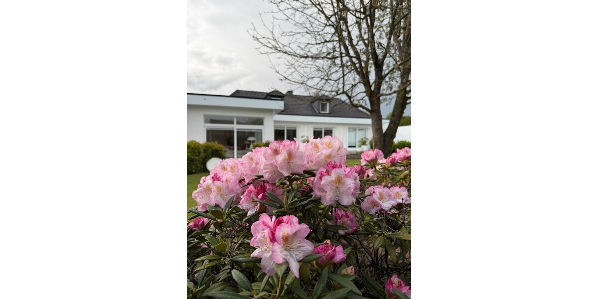 Villa Meerbusch Kierst - 6 Zimmer, 281 m&sup2;, 1.690.000&euro; | Angebot:26658449