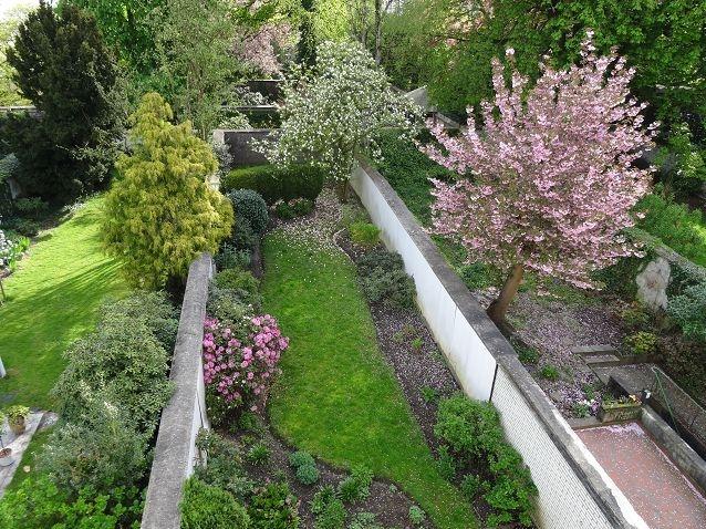 Etagenwohnung Krefeld - 1 Zimmer, 34 m&sup2;, 595&euro; | Angebot:24380198