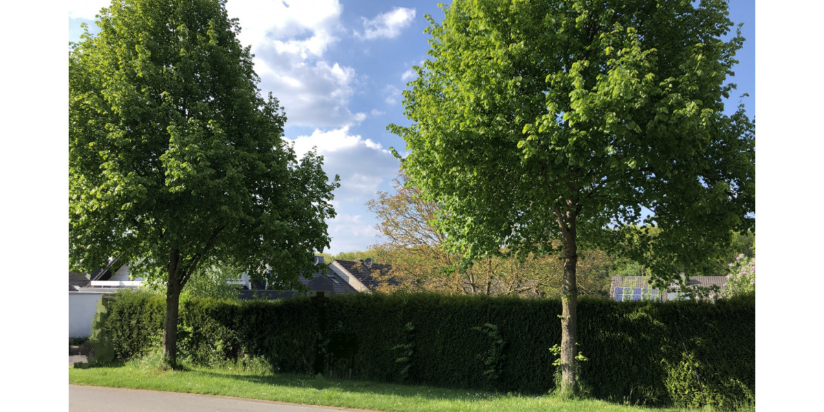 Einfamilienhaus Brüggen - 249.000&euro; | Angebot:25798809