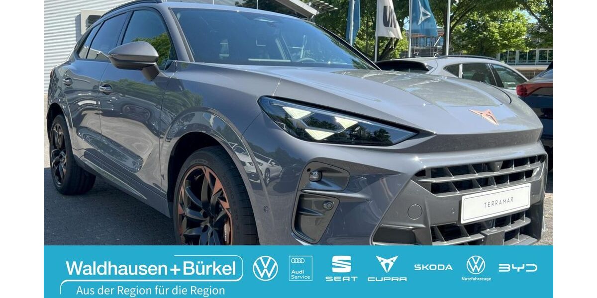 Cupra Terramar 5.000 km 49.999 &euro; Viersen 41751