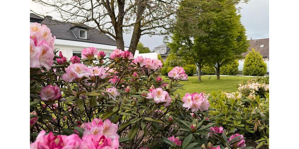 Villa Meerbusch Kierst - 6 Zimmer, 281 m&sup2;, 1.690.000&euro; | Angebot:26658449