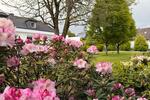 Villa Meerbusch Kierst - 6 Zimmer, 281 m&sup2;, 1.690.000&euro; | Angebot:26658449
