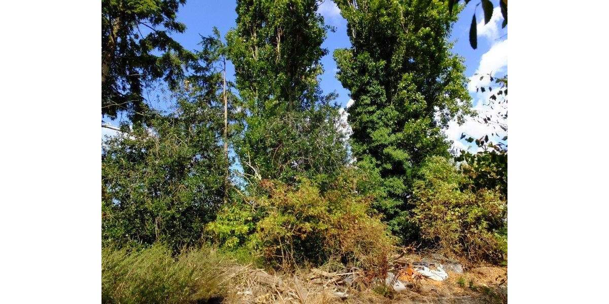 Etagenwohnung Brüggen - 4 Zimmer, 123 m&sup2;, 102.000&euro; | Angebot:25726221