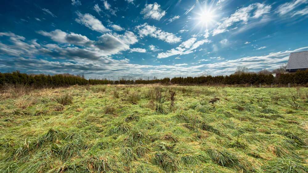 Einzigartiges Traumhaus mit Baupotenzial & hochwertiger Ausstattung - Zweifamilienhaus Straelen | Angebot:25056604