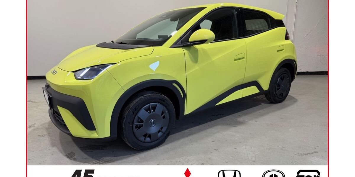 BYD DOLPHIN 2.878 km 18.980 &euro; Mönchengladbach 41061