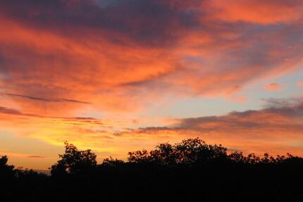 Wohnung Wegberg - 1 Zimmer, 360&euro; | Angebot:22593361