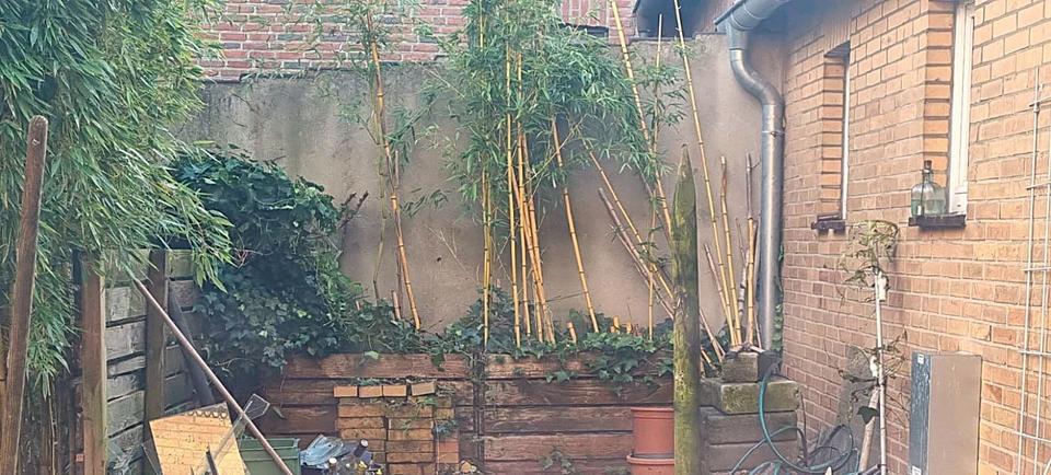 Einfamilienhaus Wassenberg - 5 Zimmer, 150 m&sup2;, 289.000&euro; | Angebot:25833821