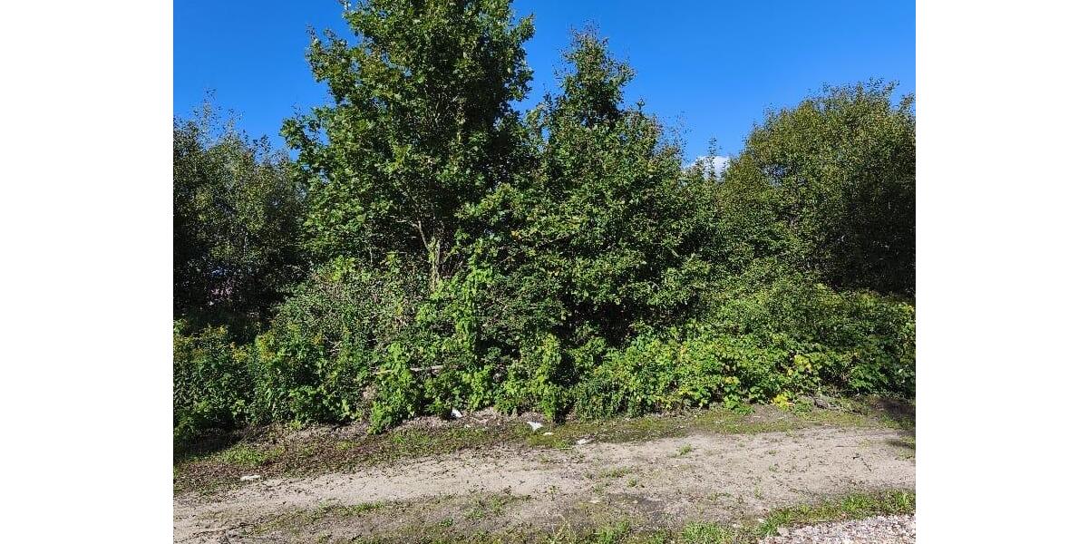 Ferienimmobilie Kempen - 28.000&euro; | Angebot:23355178