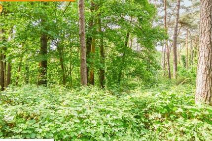 Haus Brüggen - 29.000&euro; | Angebot:26556627