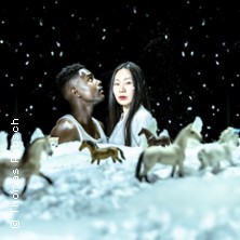 Der Schneesturm 27.05.2026 Düsseldorfer Schauspielhaus