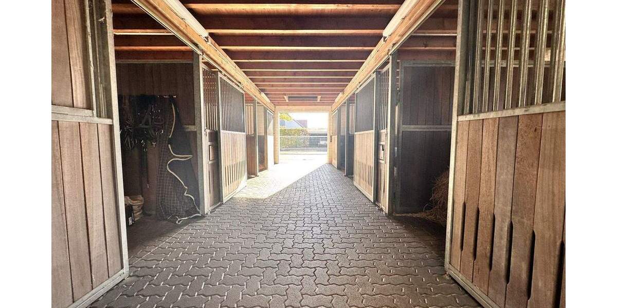 Mehrfamilienhaus, Wohnhaus Heinsberg Dremmen - 5 Zimmer, 170 m&sup2;, 997.000&euro; | Angebot:25743270