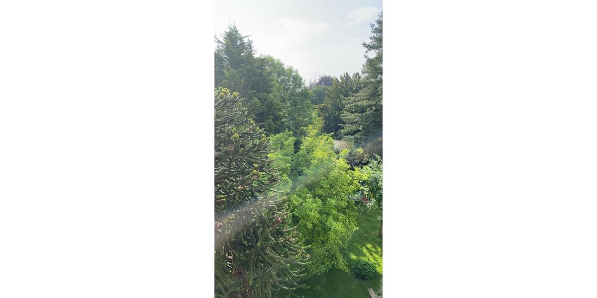 Etagenwohnung Krefeld Cracau - 4 Zimmer, 112 m&sup2;, 1.355&euro; | Angebot:25871602