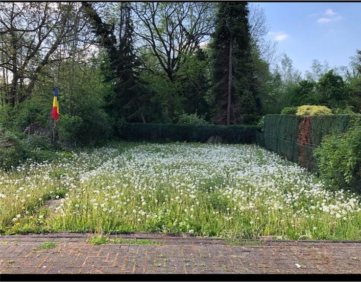 Einfamilienhaus Mönchengladbach Süd - 7 Zimmer, 200 m&sup2;, 2.990&euro; | Angebot:23224602