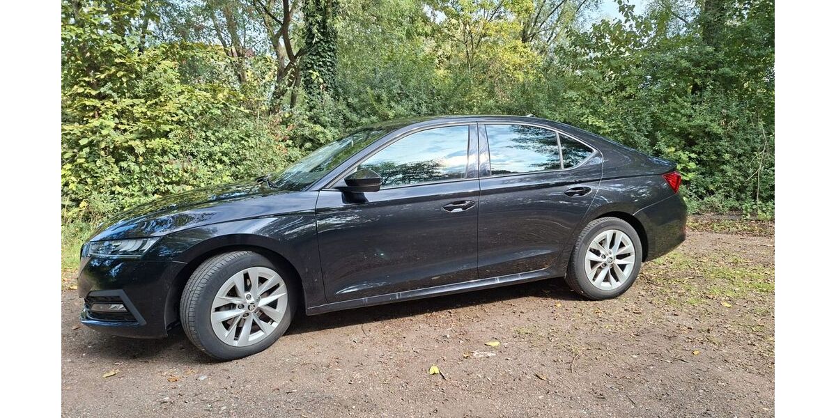 Skoda Octavia 58.000 km 16.199 &euro; Kaarst 41564