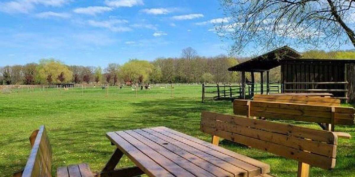 Mehrfamilienhaus, Wohnhaus Niederkrüchten Laar - 1 Zimmer, 703 m&sup2;, 2.890.000&euro; | Angebot:25720706