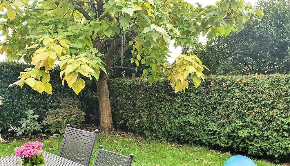Einfamilienhaus Düsseldorf Stadtbezirk 5 - 3 Zimmer, 120 m&sup2;, 588.000&euro; | Angebot:27113213