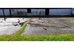 Gewerbeobjekt Geldern - 500&euro; | Angebot:26576133