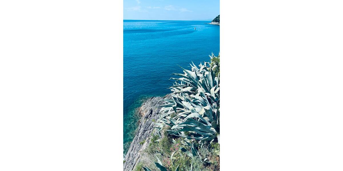 Etagenwohnung Krefeld - 2 Zimmer, 70 m&sup2;, 120.000&euro; | Angebot:24774574