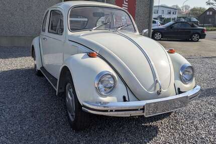 VW Käfer 56.000 km 22.900 &euro; Heinsberg, Stadt 52525
