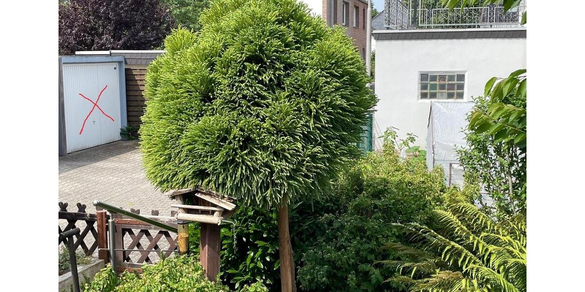 Reihenhaus Grefrath - 292.750&euro; | Angebot:25725011