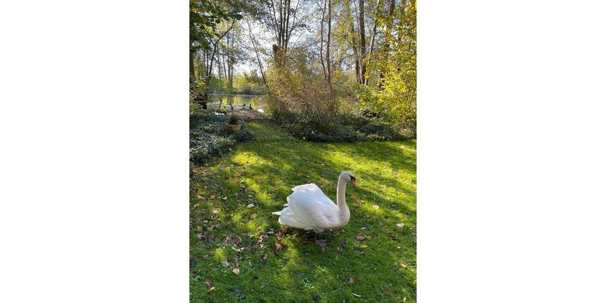 Einfamilienhaus Kempen - 2 Zimmer, 87 m&sup2;, 1.250&euro; | Angebot:26025202