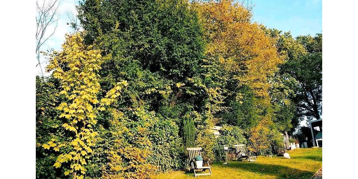 Einfamilienhaus Niederkrüchten - 5 Zimmer, 120 m&sup2;, 479.000&euro; | Angebot:25796264