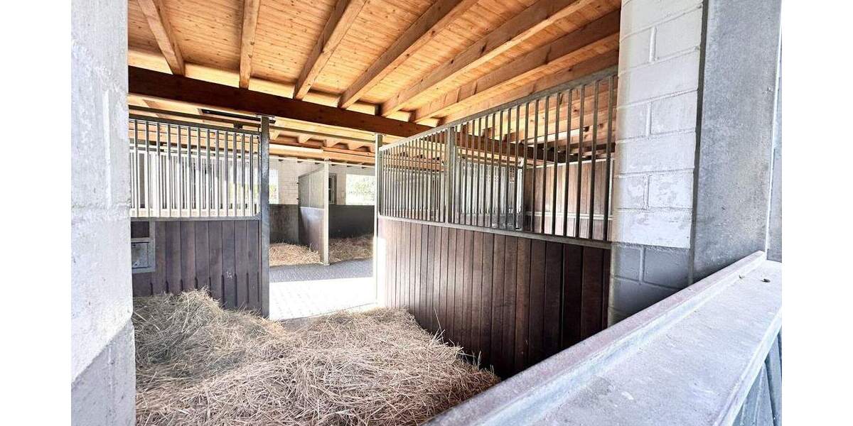 Mehrfamilienhaus, Wohnhaus Heinsberg Dremmen - 5 Zimmer, 170 m&sup2;, 997.000&euro; | Angebot:25743270