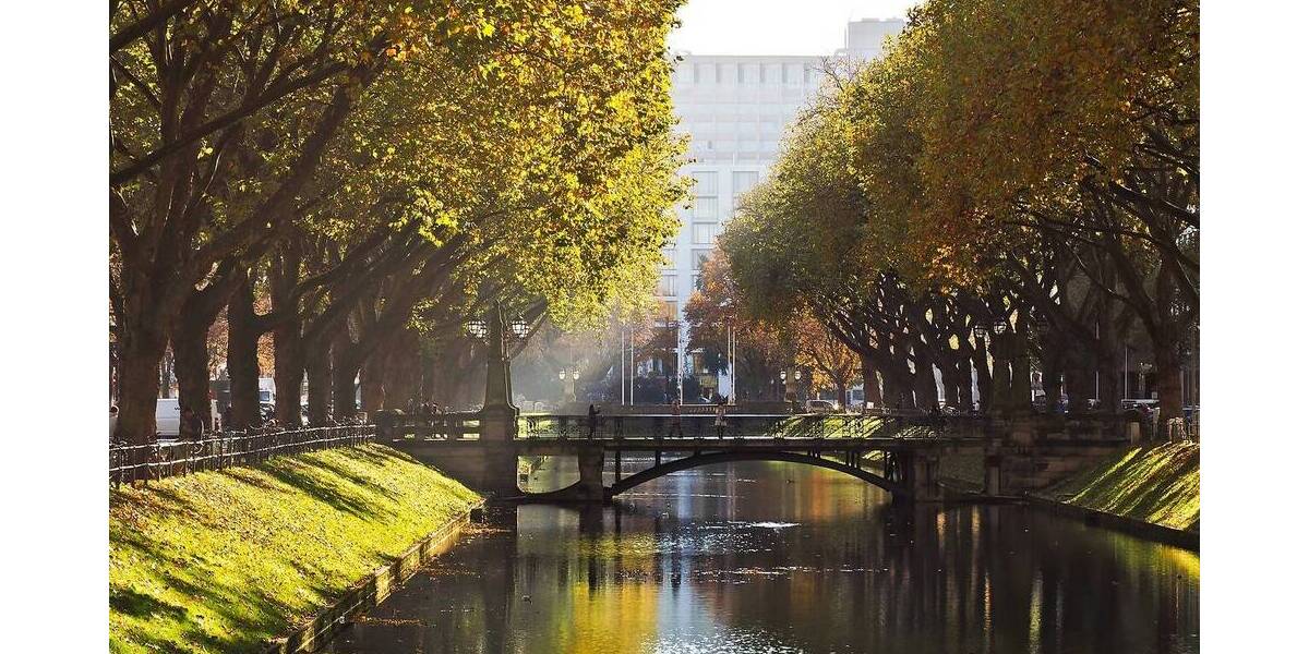 Gewerbeobjekt Düsseldorf Stadtmitte - 4 Zimmer, 125 m&sup2;, 2.500&euro; | Angebot:25738805