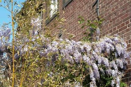 Haus Mönchengladbach West - 4 Zimmer, 400 m&sup2;, 649.000&euro; | Angebot:25611968