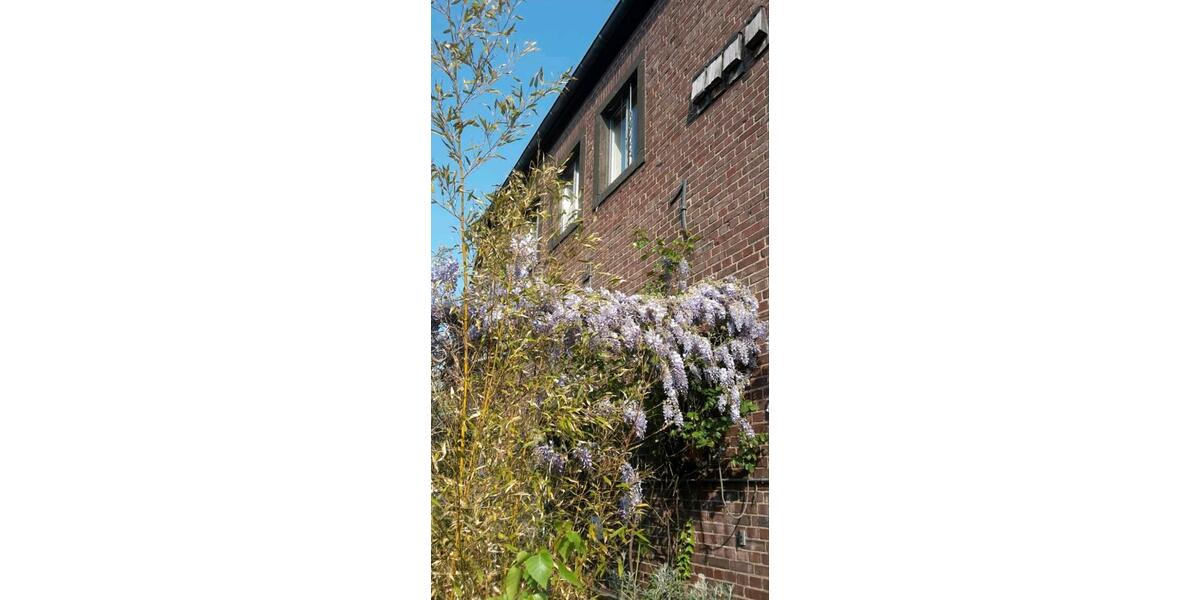 Mehrfamilienhaus, Wohnhaus Mönchengladbach West - 4 Zimmer, 400 m&sup2;, 649.000&euro; | Angebot:25611968