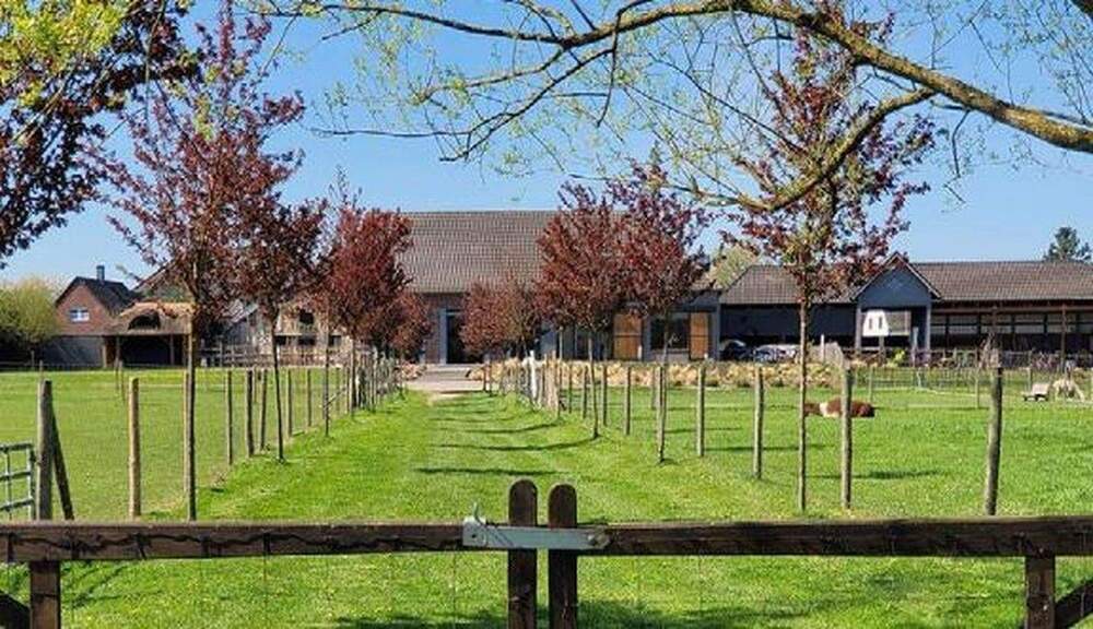 Mehrfamilienhaus, Wohnhaus Niederkrüchten Laar - 1 Zimmer, 703 m&sup2;, 2.890.000&euro; | Angebot:25720706