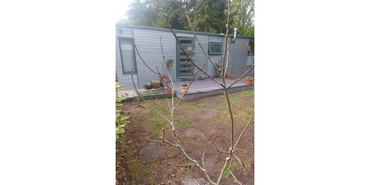 Bungalow Straelen - 1 Zimmer, 35 m&sup2;, 19.500&euro; | Angebot:26421212