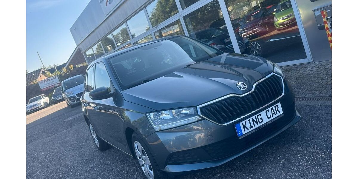 Skoda Fabia 125.000 km 7.490 &euro; Viersen 41749