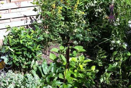 Grundstück Düsseldorf Stadtbezirk 8 - 490.000&euro; | Angebot:24464799