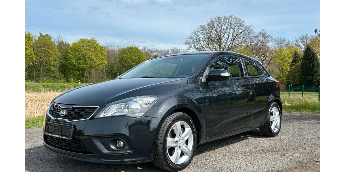 Kia ceed / Ceed 125.166 km 3.990 &euro; Neukirchen-Vluyn 47506