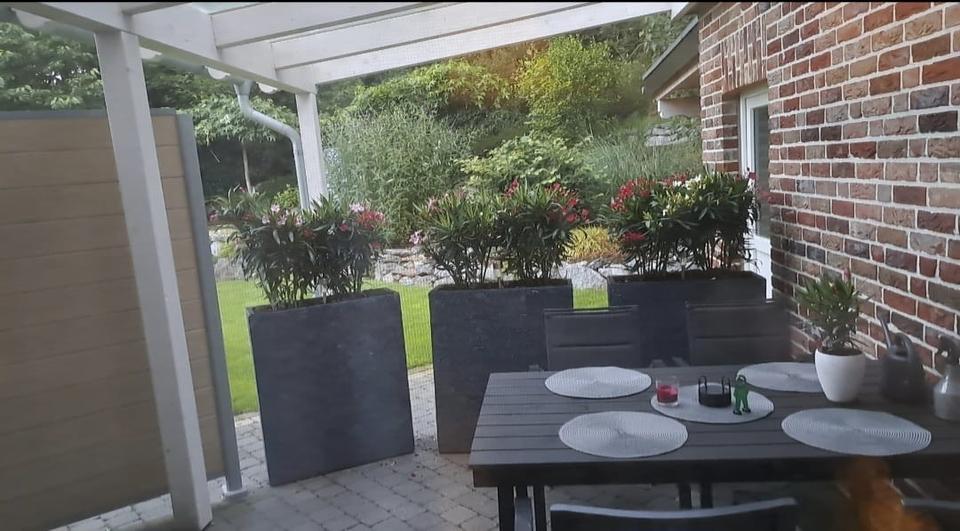 Erdgeschoßwohnung Straelen - 2 Zimmer, 60 m&sup2;, 700&euro; | Angebot:26013828