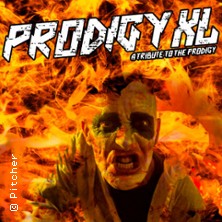 PRODIGY XL 13.03.2027 Pitcher