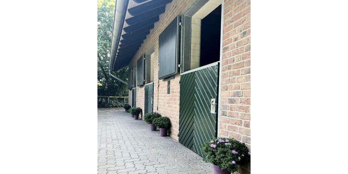 Mehrfamilienhaus, Wohnhaus Heinsberg Dremmen - 5 Zimmer, 170 m&sup2;, 997.000&euro; | Angebot:25743270